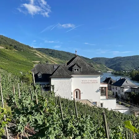 Appartamento The Vineyard View Zell an der Mosel Esterno foto