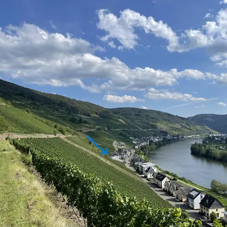 Appartamento The Vineyard View Zell an der Mosel Esterno foto