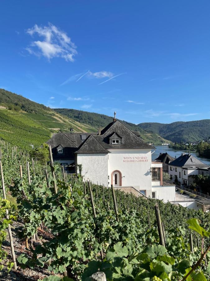 The Vineyard View Apartment
